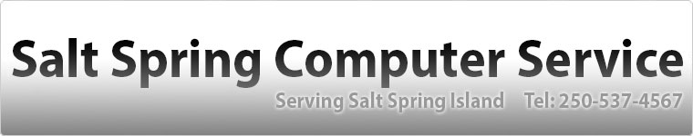 Salt Spring Computers Banner